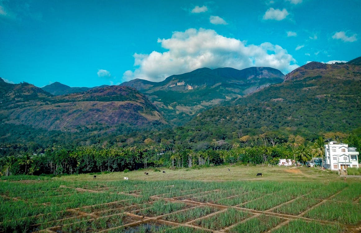 How to Sell Land by Owner in Ohio?